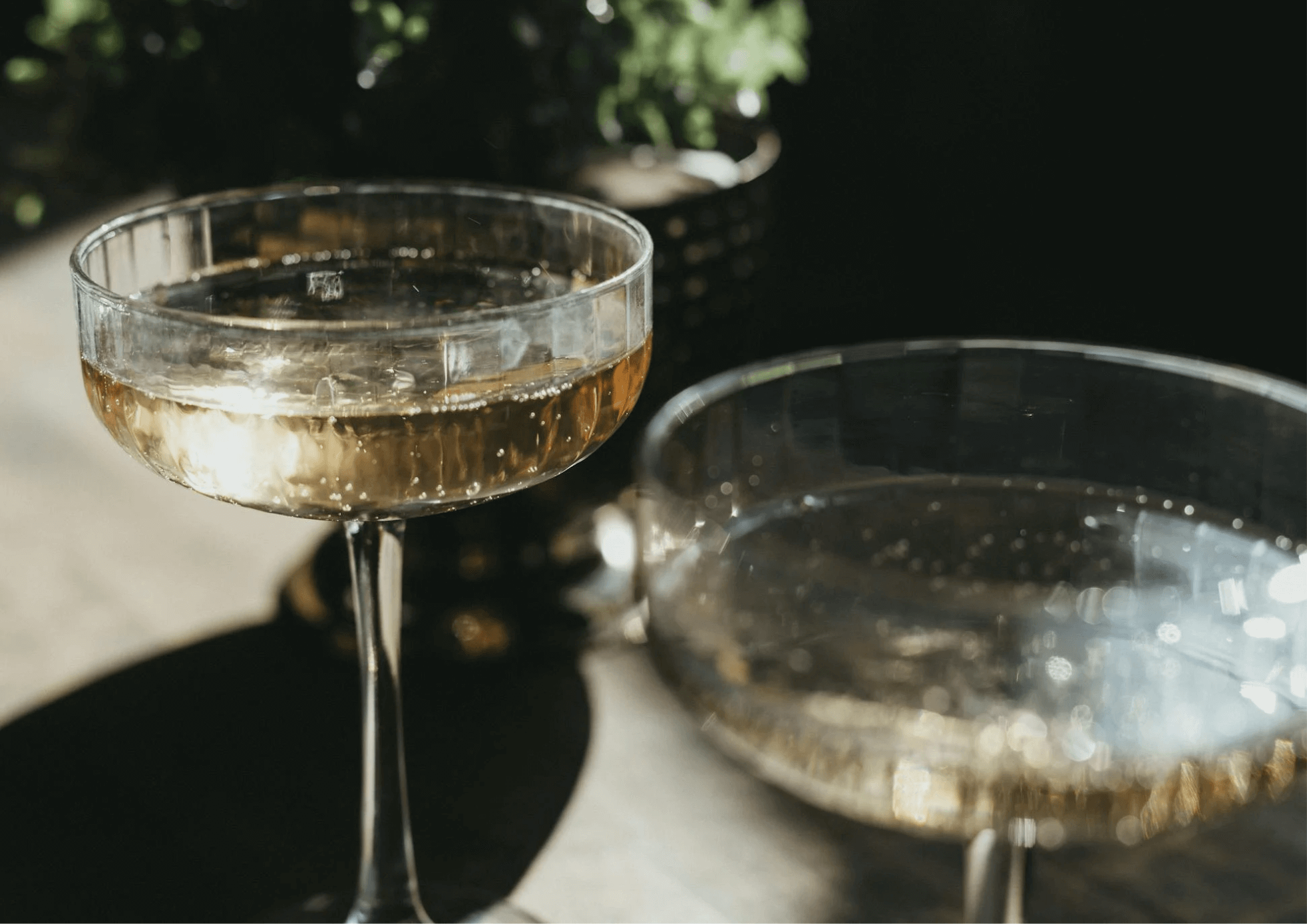 Drink old money